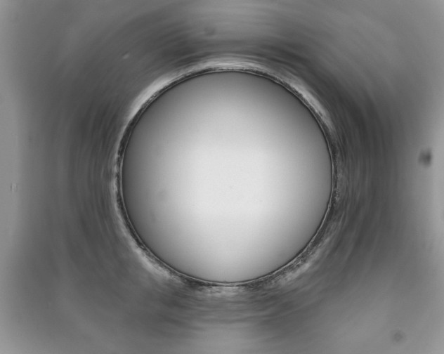 X0000091170853200708091022