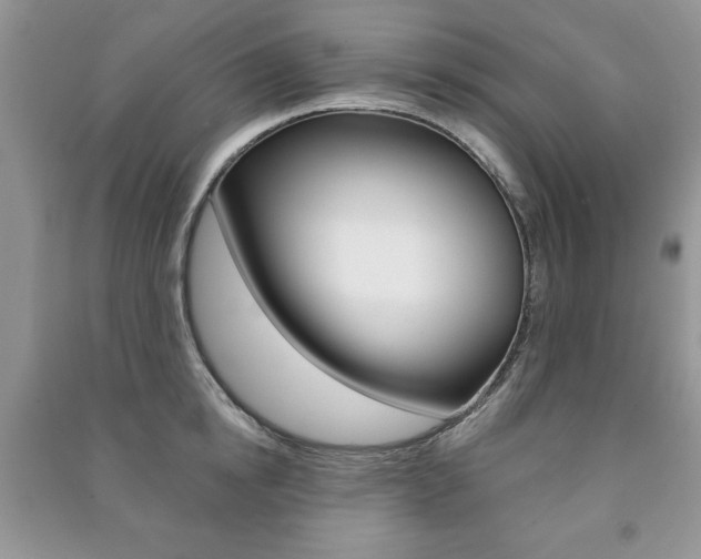 X0000091170854200708091022