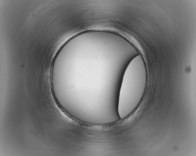 X0000091170855200708091022