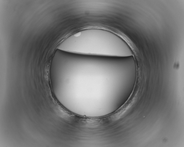 X0000091170857200708091022