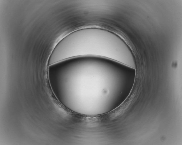 X0000091170858200708091022