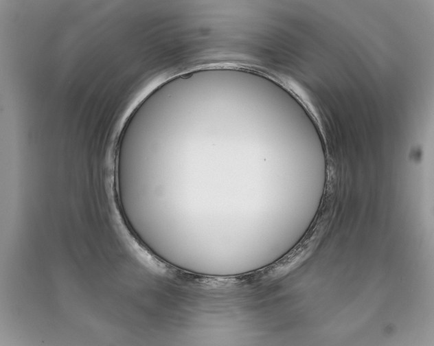 X0000091170859200708091022