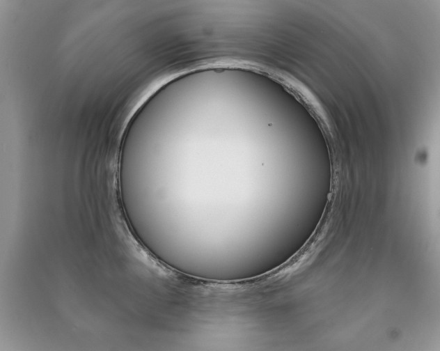 X0000091170860200708091022