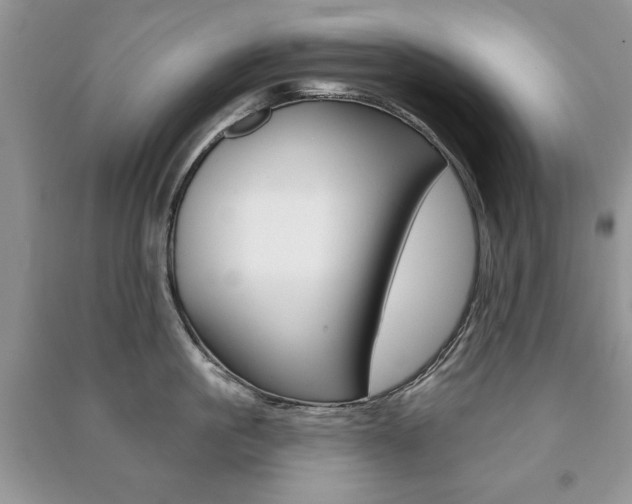 X0000091170861200708091022