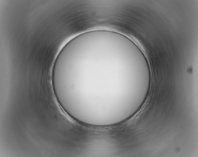 X0000091170862200708091022