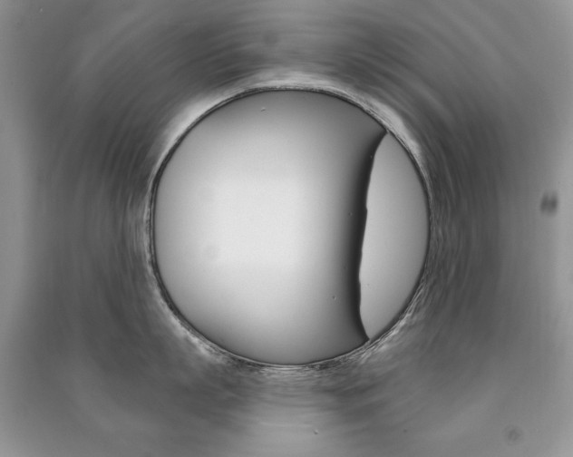 X0000091170863200708091022
