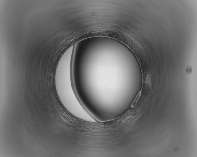 X0000091170868200708091022