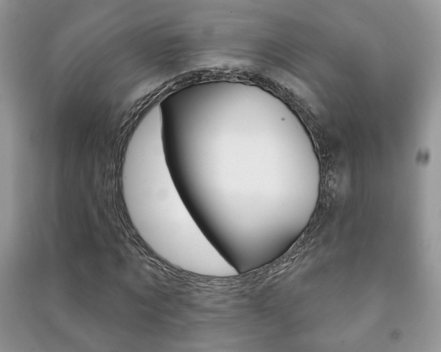 X0000091170869200708091022