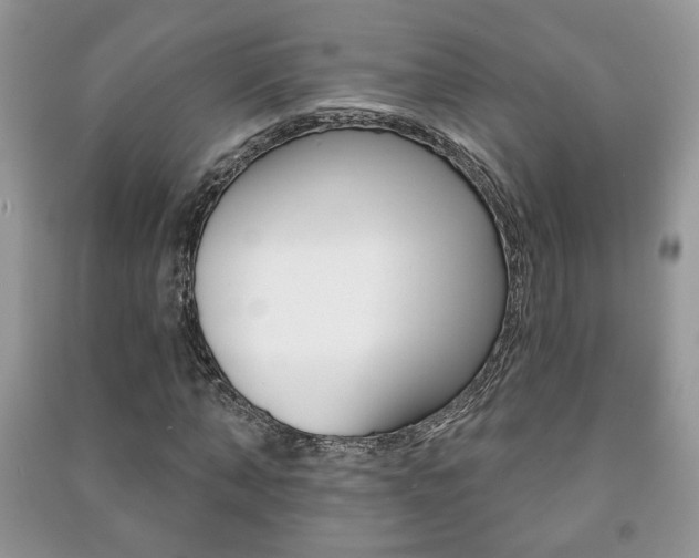 X0000091170870200708091022