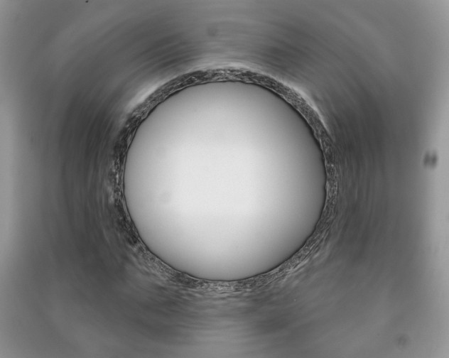 X0000091170871200708091022