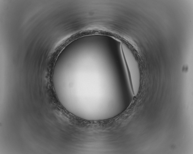 X0000091170872200708091021