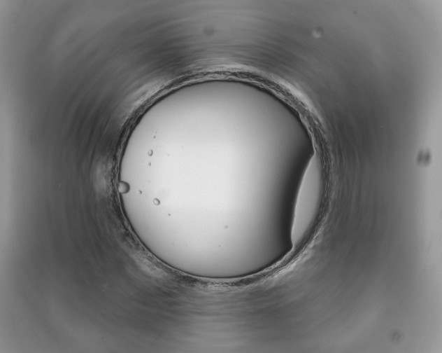 X0000091170873200708091021