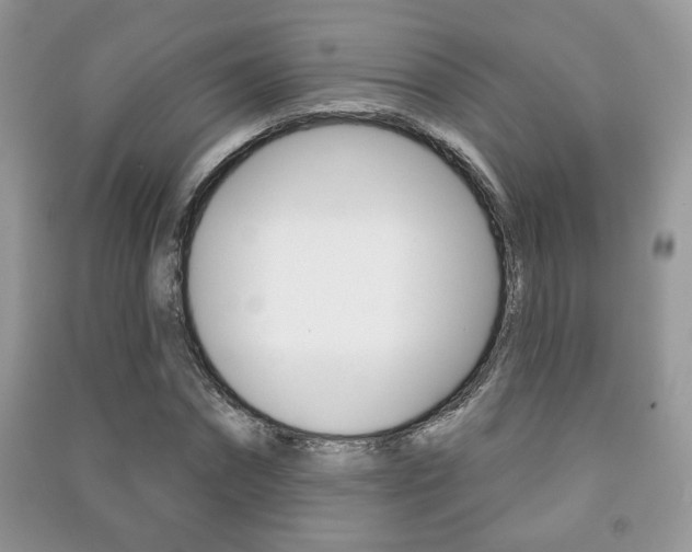 X0000091170874200708091021