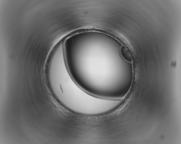 X0000091170876200708091021