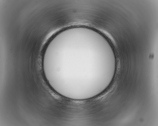 X0000091170878200708091021