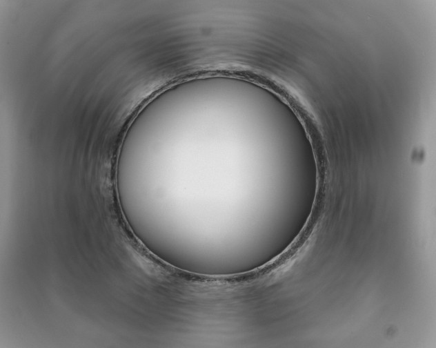 X0000091170881200708091021