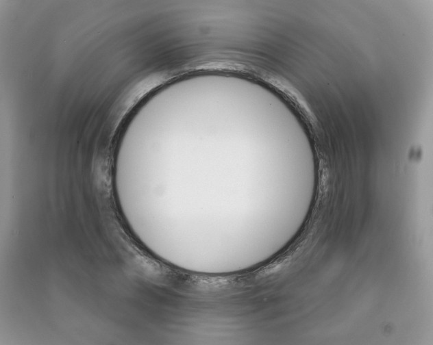 X0000091170882200708091021
