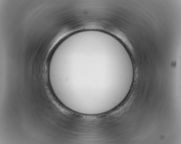 X0000091170886200708091021