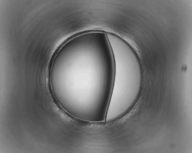 X0000091170888200708091021