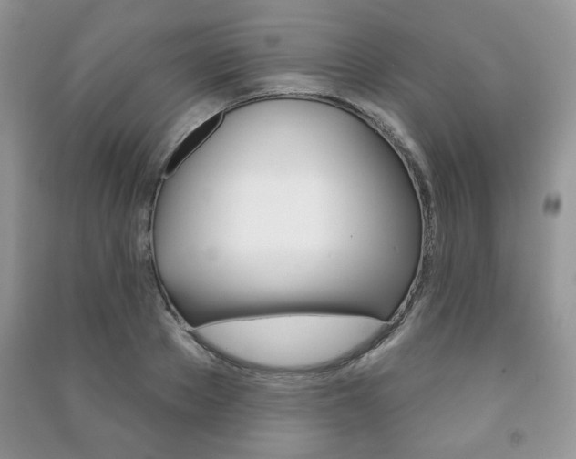 X0000091170889200708091021