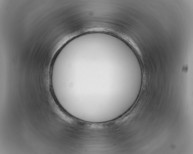X0000091170890200708091021