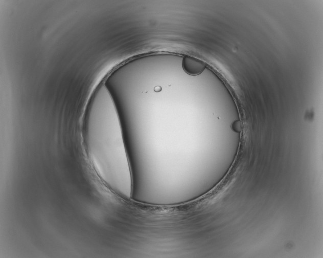 X0000091170891200708091021