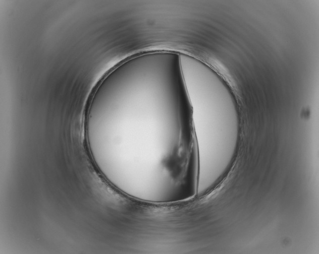 X0000091170892200708091021