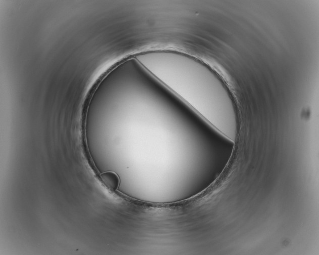 X0000091170894200708091021