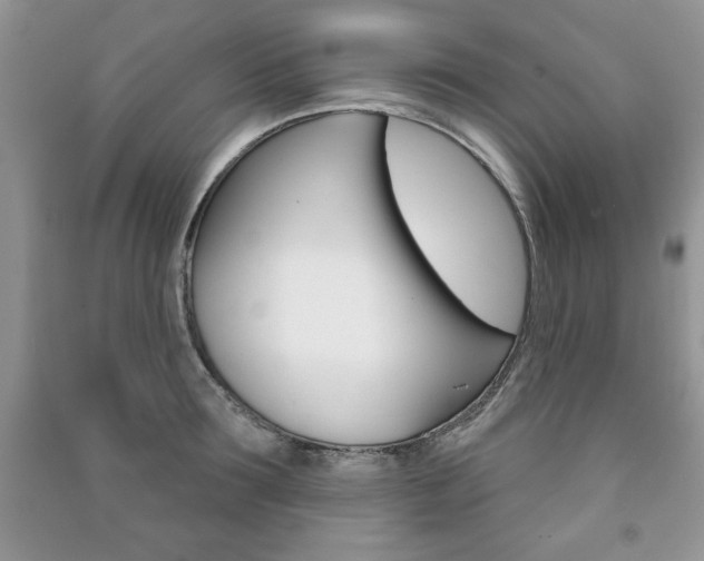 X0000091170899200708091021