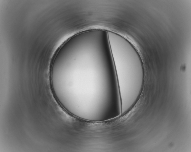 X0000091170902200708091021