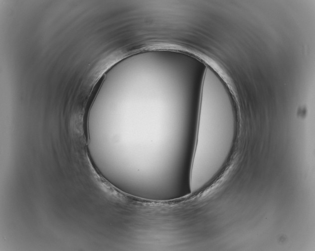 X0000091170905200708091021