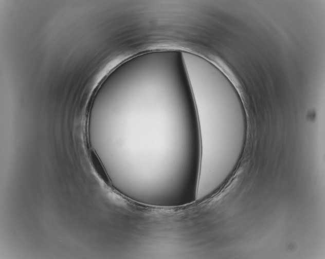 X0000091170909200708091021