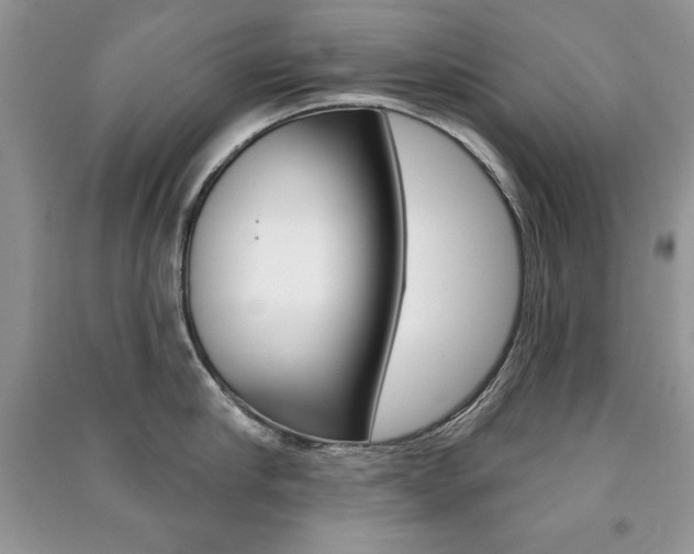 X0000091170910200708091021