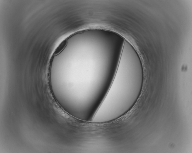 X0000091170912200708091021