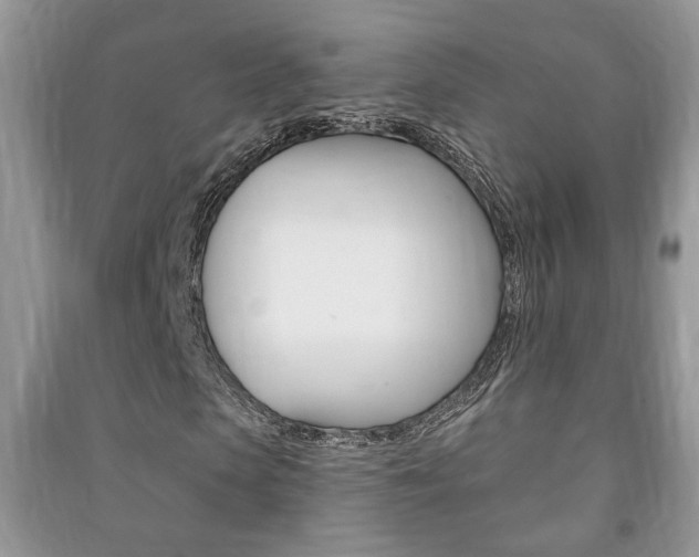 X0000091170913200708091020