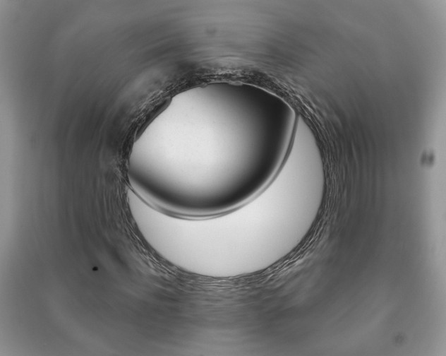 X0000091170916200708091020