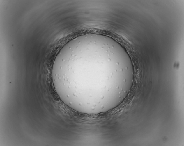 X0000091170917200708091020