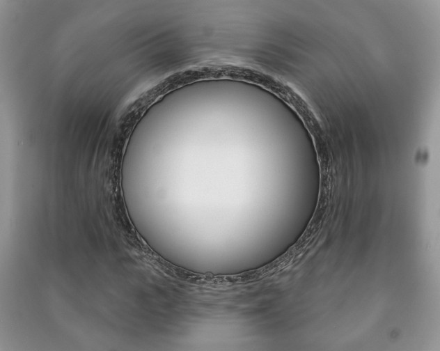 X0000091170919200708091020