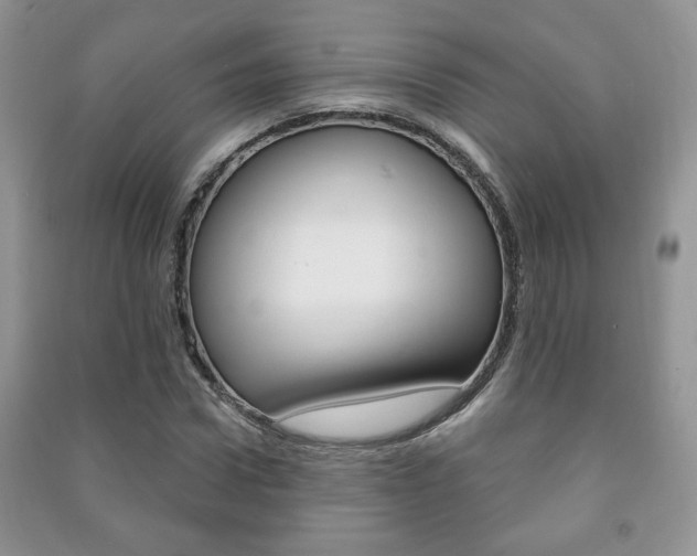 X0000091170922200708091020