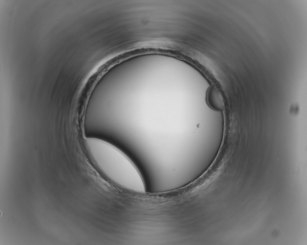 X0000091170923200708091020