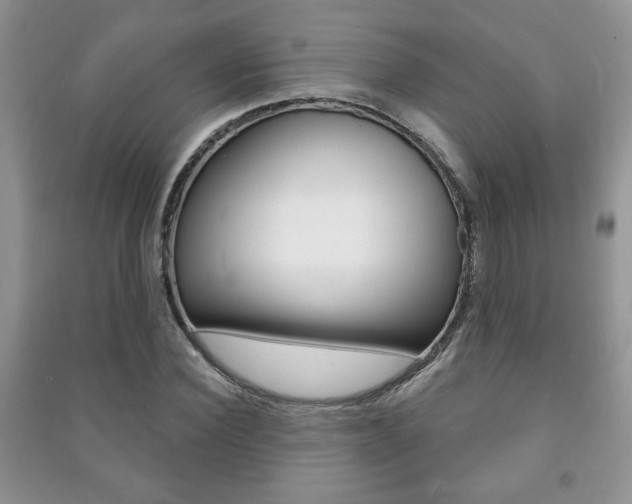 X0000091170924200708091020