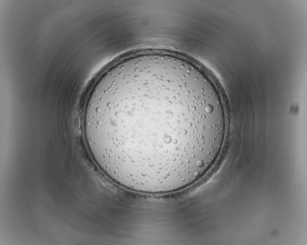 X0000091170925200708091020