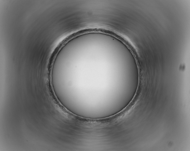 X0000091170927200708091020