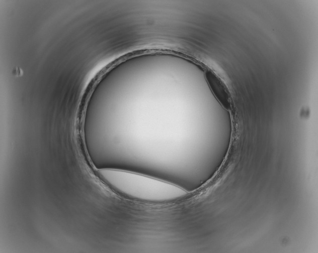 X0000091170928200708091020