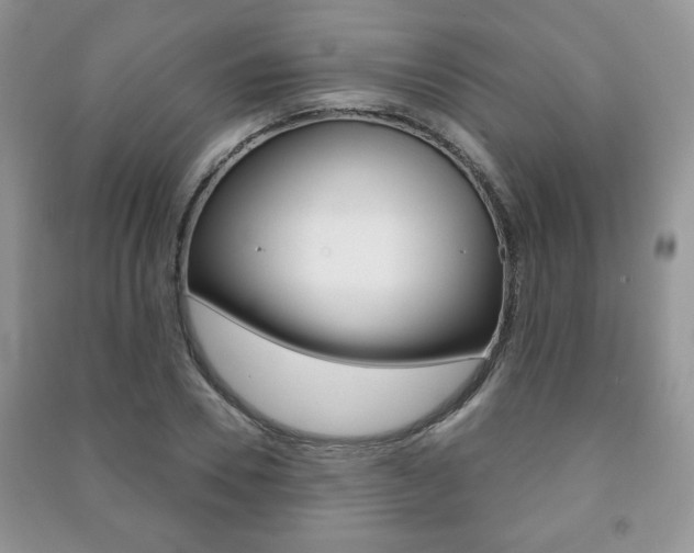 X0000091170930200708091020
