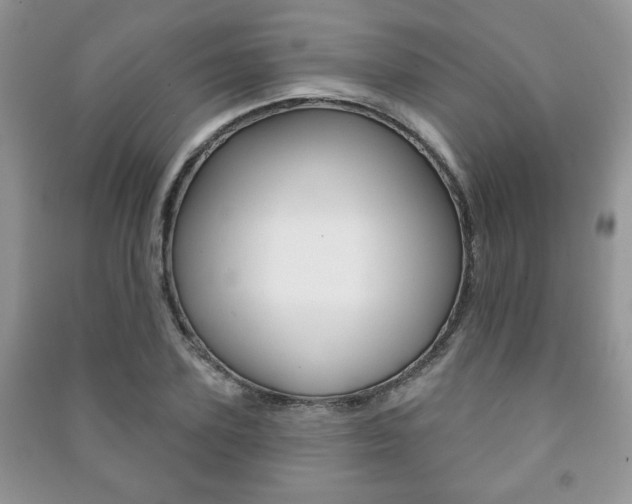 X0000091170931200708091020