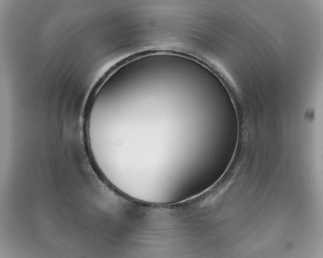 X0000091170932200708091020