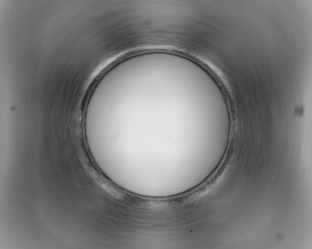 X0000091170933200708091020