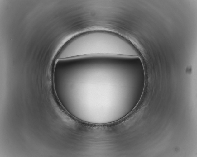 X0000091170934200708091020