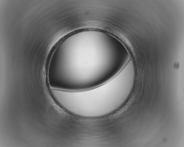 X0000091170936200708091021